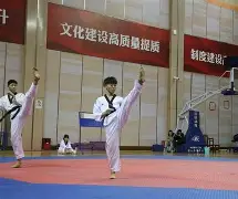跆拳道杯赛掀起高潮，皖南白虎队淘汰对手祁连天狼队，战至最后一刻——细节处理更胜一筹的简单介绍